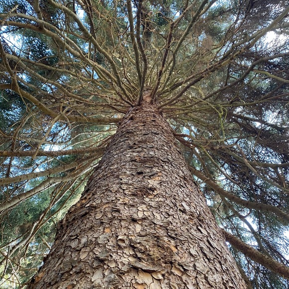 Meet your Posher, Liv - Picture 11 of 12